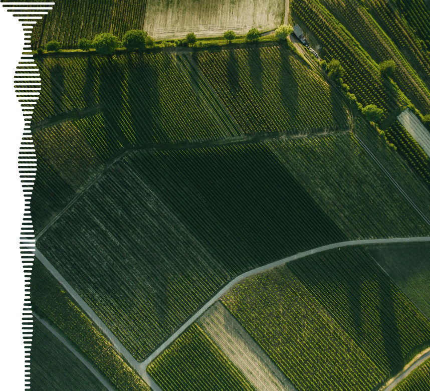 birdseye view of predominantly green farmlands