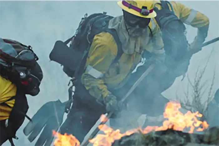 Photo of firefighters fighting a wilderness fire